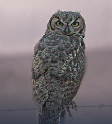 Hootsuite Pricing Revealed