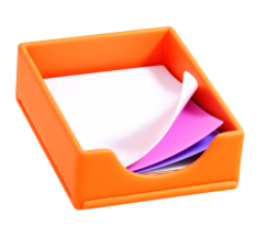 video image