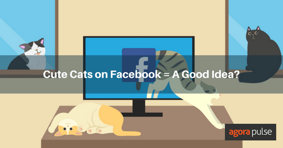 Feature image of When Is Posting Cute Cats for Facebook Likes a Good Idea?