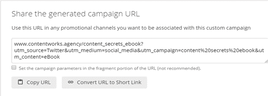 example of campaign url