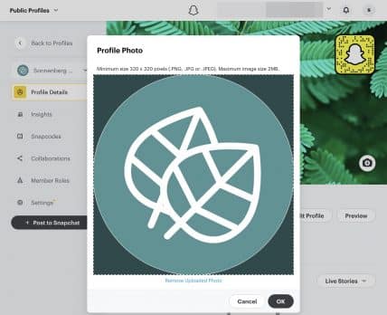 snapchat profile pic