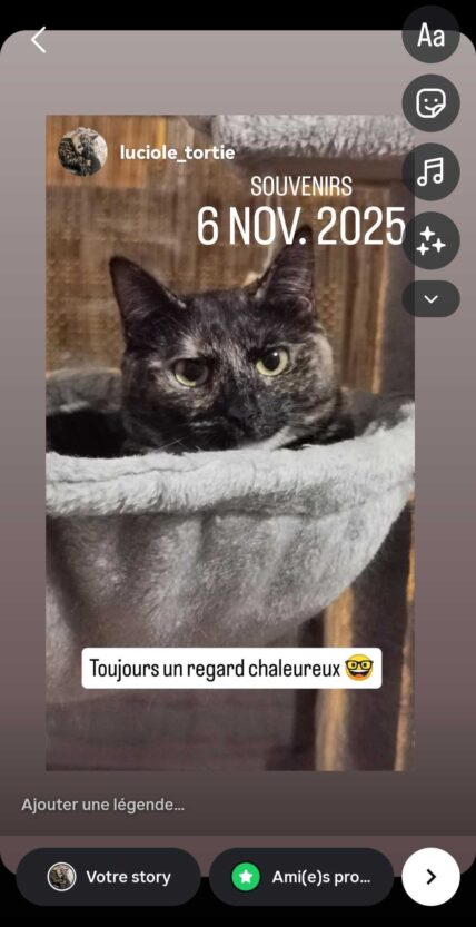 Repost d'une story en highlight
