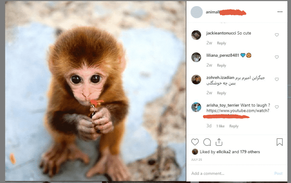 An Interesting Study on Blank Instagram Captions!